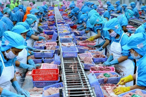 Thủy sản Việt Nam đang đứng ngoài 'bữa tiệc' tỷ đô Halal chỉ vì một con dấu