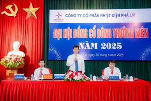 Cổ đông REE gây sức ép cải tổ chiến lược điện, phủ quyết nhiều nội dung: Lãnh đạo PPC ‘án binh bất động’