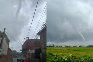 Hiện tượng hiếm gặp vừa xuất hiện ở Việt Nam