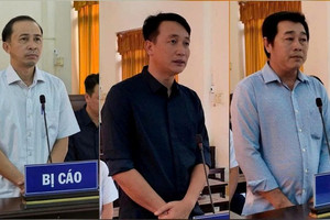 Tuyên án phạt tù đối với cựu Phó Chủ tịch UBND xã