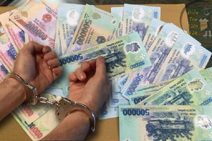 Khởi tố vụ án liên quan đến một nữ đại gia ở Tiền Giang