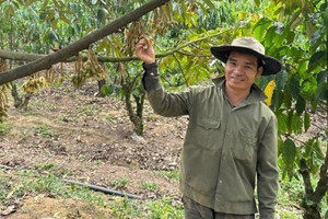 Nông dân Lâm Đồng trồng ‘cây tỷ đô’ theo kiểu ngược đời, giờ được vinh danh, sống nhàn tênh thu nhập 4 tỷ/năm