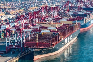 Giữa tâm bão thuế quan, WTO phát thông báo quan trọng về thương mại toàn cầu