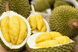 Sầu riêng rớt giá thê thảm, nguyên nhân lần này do... 'ông trời'