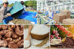 Đặt cược 65 tỷ USD cho nông sản, Việt Nam dồn tổng lực đối phó thách thức từ 3 thị trường chiến lược