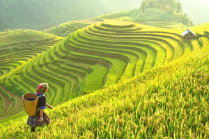 Điểm khó của du lịch nội địa dịp hè, doanh nghiệp du lịch nhanh chóng điều chỉnh
