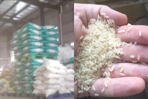 Đột kích nhà máy gạo trong đêm, tịch thu hơn 15 tấn gạo Thái giả