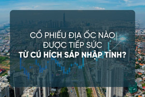 ‘Bản đồ’ cơ hội: Cổ phiếu địa ốc nào được tiếp sức từ cú hích sáp nhập tỉnh?