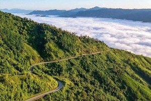 Cao tốc hơn 43.000 tỷ kết nối rừng - biển dự kiến thay đổi kế hoạch xây dựng