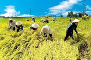 Đưa nông sản Việt vượt bão thuế, hướng tới kim ngạch 65 tỷ USD