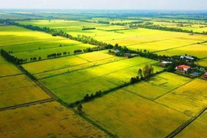 5 trường hợp chuyển mục đích sử dụng đất không cần xin phép theo luật mới nhất