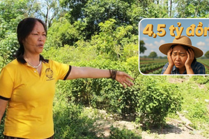 Diễn biến mới nhất vụ chuyển đổi 300m2 đất vườn sang đất ở, người dân phải đóng 4,5 tỷ đồng