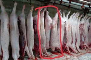 Công an chính thức công bố kết luận điều tra vụ C.P. Việt Nam bị tố bán thịt heo bẩn