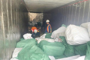 Phát hiện doanh nghiệp xuất khống 1.400 tấn chân gà đông lạnh, có dấu hiệu trốn thuế hơn 7 tỷ, Cục Hải quan chính thức khởi tố