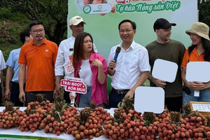 Phó Chủ tịch UBND tỉnh lên livestream ‘chốt đơn’ thành công 54 tấn nông sản, nhiều đơn đi Mỹ, Australia, Nhật Bản...