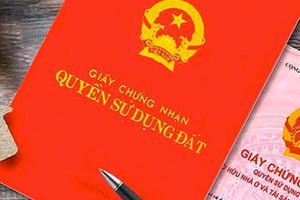Từ bây giờ, quy định mới làm thủ tục cấp sổ đỏ cho đất chuyển nhượng trước 1/8/2024 ra sao?