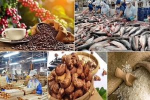 Xuất khẩu nông sản bứt tốc: Tổng kim ngạch đạt gần 34 tỷ USD trong nửa đầu năm, tăng 15,5% so với cùng kỳ