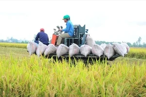 Việt Nam thu về 33,8 tỷ USD từ xuất khẩu nông sản, giao thương với Mỹ tăng mạnh