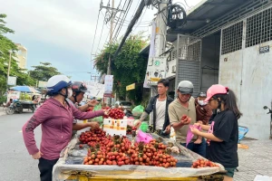 Vải thiều đại hạ giá tại TPHCM