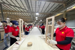 Doanh nghiệp Việt sẵn sàng cho mọi kịch bản
