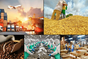 Xuất khẩu Việt Nam vừa lập kỳ tích giữa 'bão' kinh tế toàn cầu