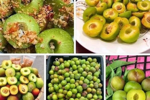 'Mận róc hạt Sa Pa' đang bán tràn lan khắp chợ với giá 25.000 đồng/kg có nguồn gốc từ đâu?'