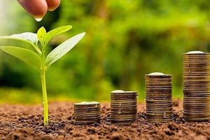 Điểm danh 4 doanh nghiệp sắp trả cổ tức bằng tiền tỷ lệ từ 30 - 110%