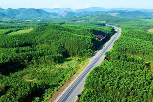Chiêm ngưỡng tuyến cao tốc duy nhất qua 'kho báu' sinh học quốc gia của Việt Nam vừa khởi công