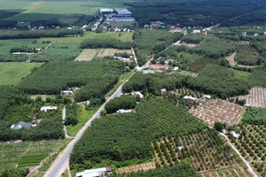 Hơn 30km đường Hồ Chí Minh do Đèo Cả thi công: Đẹp nhưng vướng tiến độ
