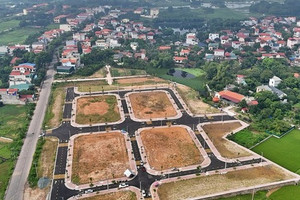 Từ bây giờ, xin tách hoặc hợp thửa đất: 3 ngày trả lời, 5 ngày hoàn tất