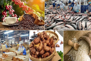 Xuất khẩu nông sản Việt Nam lập kỳ tích: 3 mặt hàng vượt 5 tỷ USD, xuất khẩu ‘vàng nâu’ đạt cột mốc chưa từng có