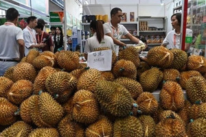 112 trang trại của láng giềng Việt Nam được xuất khẩu sầu riêng sang Trung Quốc