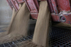 Mua hơn 1 triệu tấn lúa mì Mỹ mỗi năm, nền kinh tế số 1 Đông Nam Á toan tính gì?
