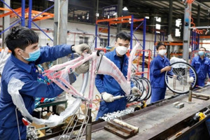 Gần 22% doanh nghiệp gặp khó khăn do không đủ sức cạnh tranh với hàng nhập khẩu