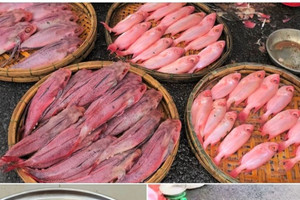 Cá 'nhuộm phẩm' ở Đà Nẵng, người bán giải thích là do được rửa bằng nước ngọt Sting