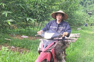 Nông dân Phú Thọ ‘phá vỡ lối mòn’ bỏ cam sang trồng cây được ví ‘lộc biếc’: Bán 45.000 đồng/kg, nuôi giấc mộng xuất khẩu sang Nhật