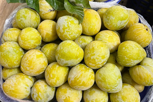 Thêm một loại quả Trung Quốc đổ bộ chợ Việt, giá 450.000 đồng/kg vẫn ‘cháy hàng’