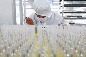 Trung Quốc và EU căng thẳng chưa từng thấy
