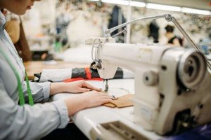 Truy tố một Giám đốc