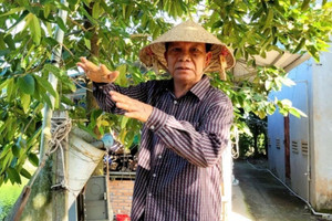 Tỷ phú cá hô miền Tây: Lão nông biến ao nhà thành trang trại bạc tỷ