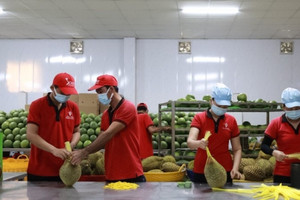 Xuất khẩu nông sản có thể đạt kỷ lục 70 tỷ USD trong năm nay