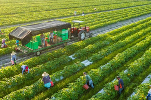 Ngành học điểm chuẩn chỉ từ 16 điểm, ra trường không lo thất nghiệp: Doanh nghiệp săn đón, lương lên tới 25 triệu/tháng