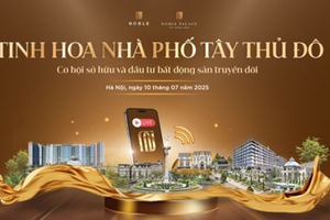 Khởi động chuỗi livestream NobleLive cùng hành trình kết nối giá trị thật cho người dùng