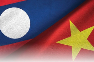 Được gặp 2 Phó Thủ tướng, các tập đoàn Việt Nam đề xuất loạt dự án hợp tác tại Lào