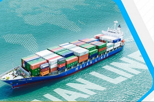 Cổ phiếu đối tác của Hòa Phát (HPG) tăng gần 1.700% sau 5 năm: Sắp trả cổ tức khủng