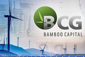 Bamboo Capital (BCG) chuẩn bị công bố BCTC kiểm toán 2024