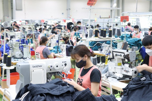 Hà Nội chi mạnh tay hơn 240 tỷ đồng hỗ trợ doanh nghiệp và startup