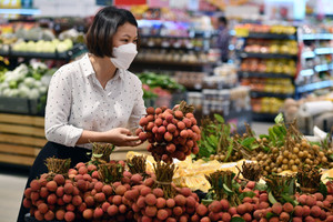 Trình Quốc hội đề xuất sửa Luật Thuế thu nhập cá nhân