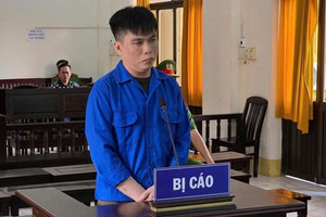 Lê Minh Châu bị tuyên phạt 7 năm tù vì làm giả sổ đỏ chiếm đoạt tiền