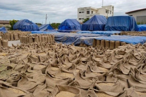 Vượt Thái Lan, mặt hàng này của Việt Nam vươn lên xuất khẩu top 2 thế giới, có mặt tại 150 quốc gia